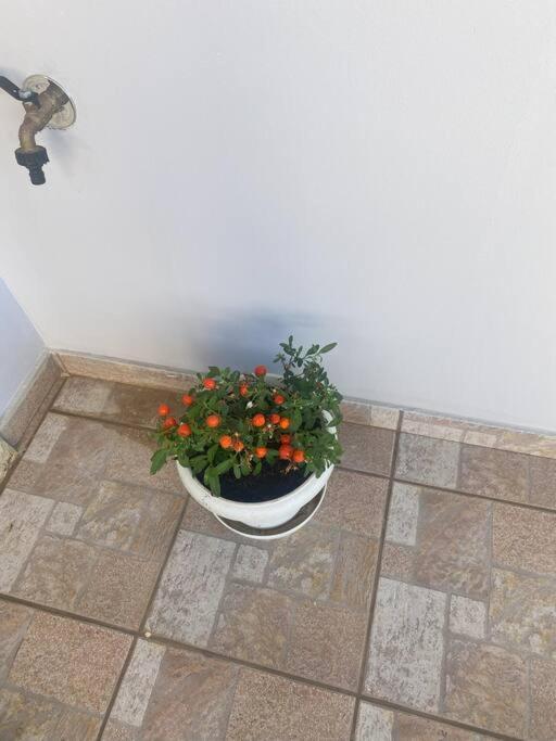 New Lovely Apartment In Heraklion Екстер'єр фото