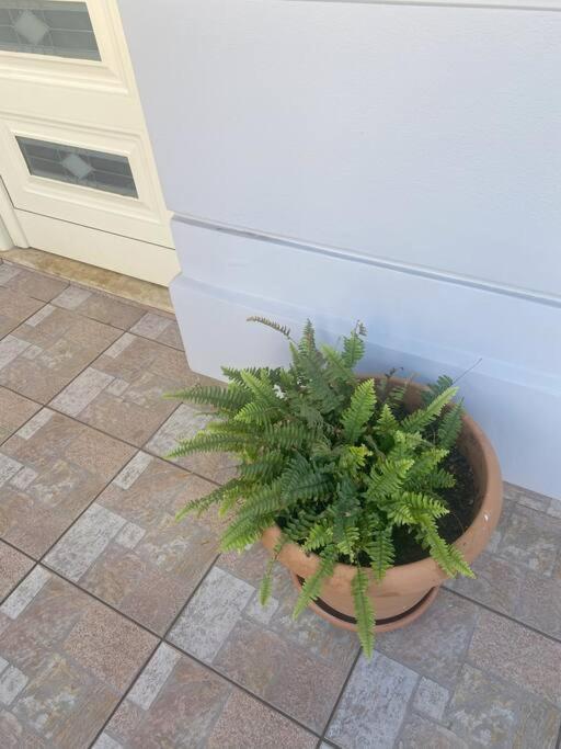 New Lovely Apartment In Heraklion Екстер'єр фото