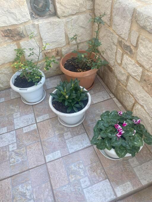 New Lovely Apartment In Heraklion Екстер'єр фото